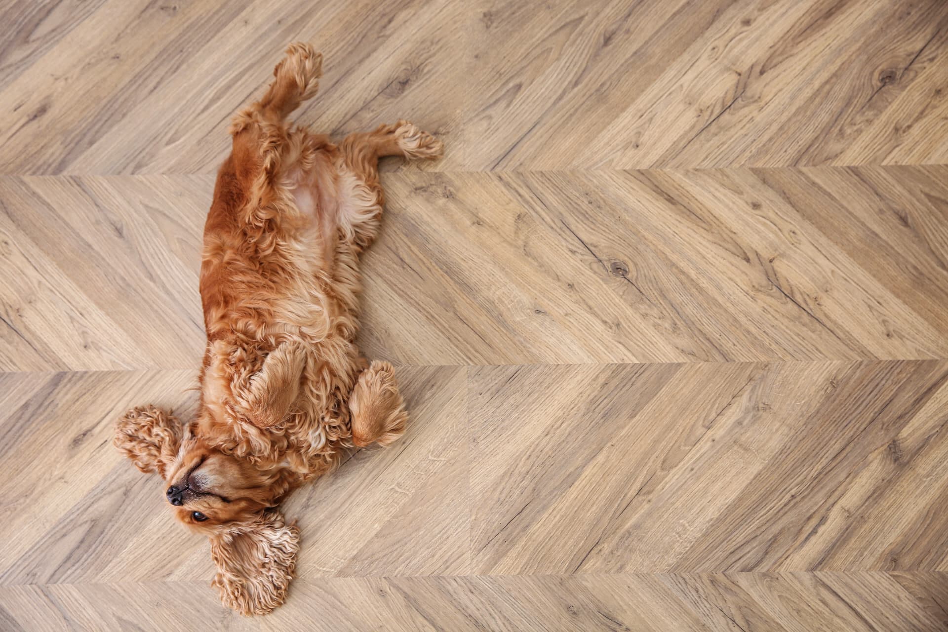 Light wood herringbone floor